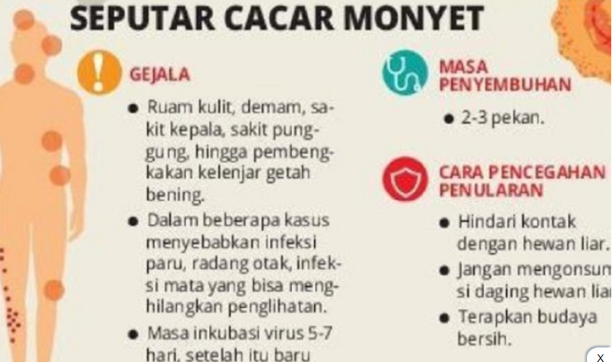 Indonesia Belum Berlakukan Karantina bagi Pendatang dari Negara dengan Cacar Monyet